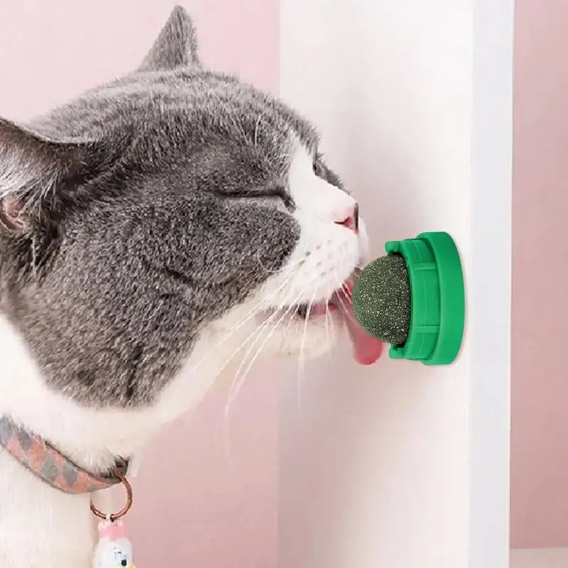 Cat Lick Ball Pet Biting Lick Chew Toys Kitten Catnip Roller Ball Cat Treat Ball To Stimulate Appetite Toys