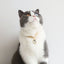 Cat Collar Dog Princess Love Cat Necklace Handmade Birthday Party Necklace Cat Accessories Pet Puppy Crystal Diamond Pendant