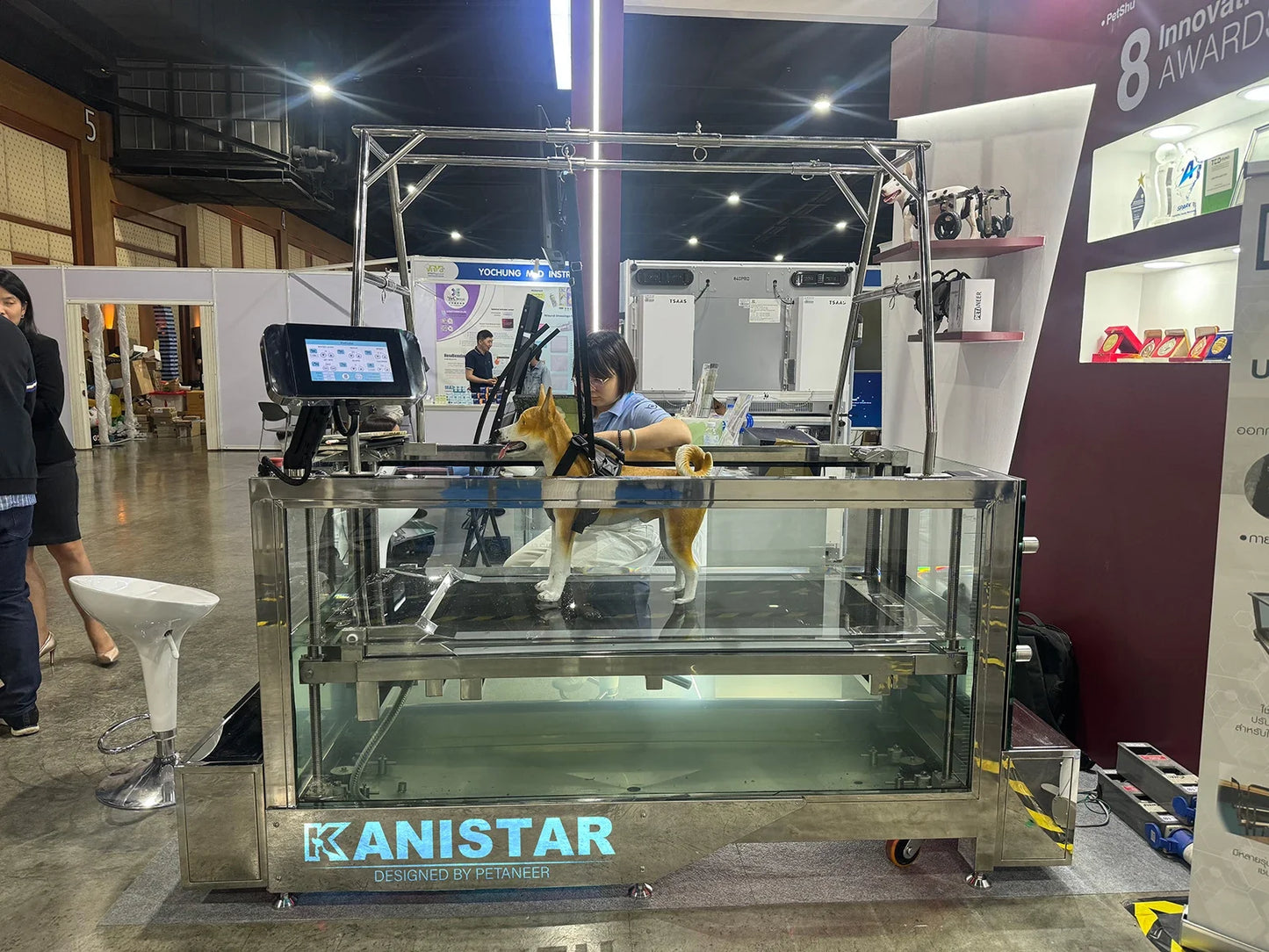 Dogs Hydrotherapy Pet Training Rehabilitation Underwater Treadmill High Quality Dog Training Equipment Water Treadmill