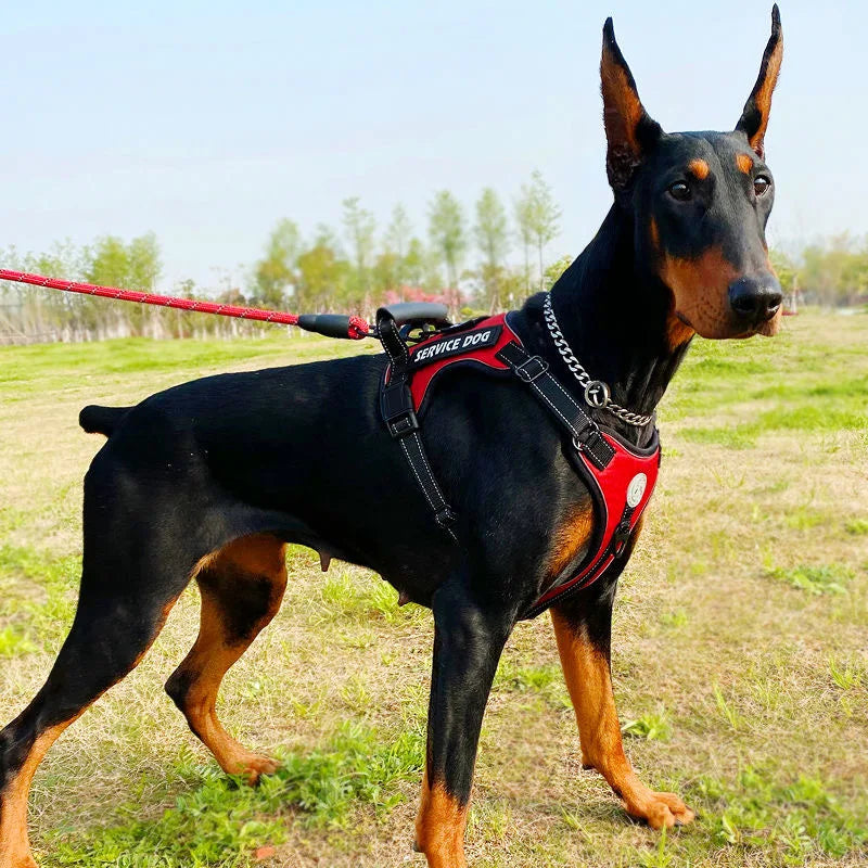 Doberman Dog Harness Collar Leash Set Walking Pet Vest Harnesses for Medium Large Dogs German Shepherd mascotas Chain Supplies