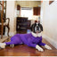 Dog Onesie Clothes Shedding of Dog Hair for Home Car Travel Anxiety Calming Shirt Surgery Recovery Body Jumpsuit for Large Dogs