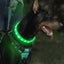USB Rechargeable Glowing Collar for Large and Small Dogs LED Glowing Dog Collar 9 Flashing Modes Adjustable Soft Silicone Collar