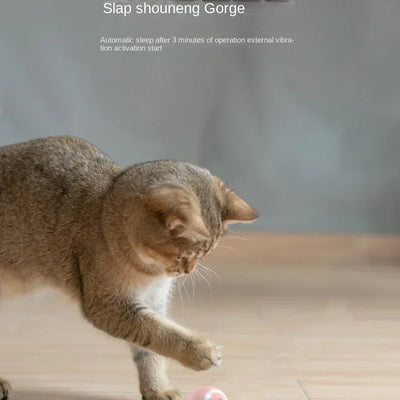 Funny Cat Ball Pet Toy Ball Gravity Rolling Ball Cat Self-Happiness Ball Bite-resistant and Boredom Relieving Automatic Rolling