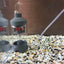 Aquarium Fish Poop Stool Toilet Manure Suction Separator Filter Collector Fish Tank Cleaning Sponges Filters Oxygen Increasing