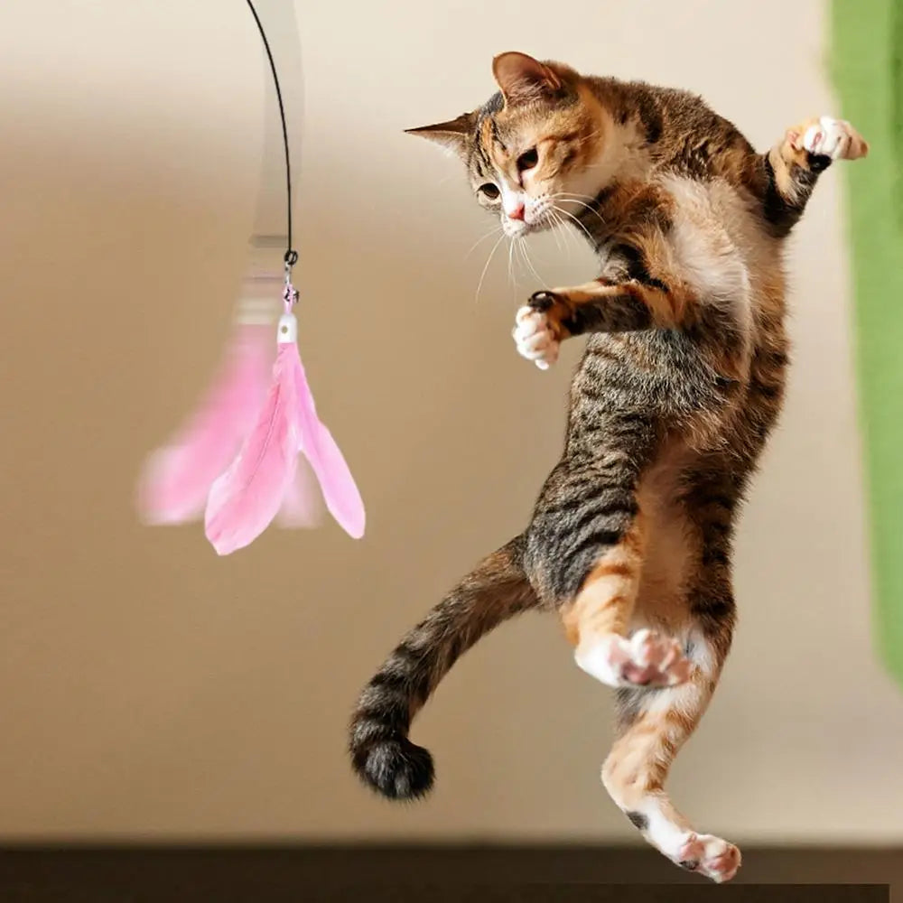 Cat Feather Wand Toy Cat Fishing Pole Toy Cat Teaser Stick With Detachable Feather Suction Cup Toy For Cats Exercise And