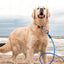 Tie Out Cable Dog Leash with spring Durable Anti-Bite Two Head dog Leash, Outdoor Dogs Leash Belt For Small Medium Dog Walking