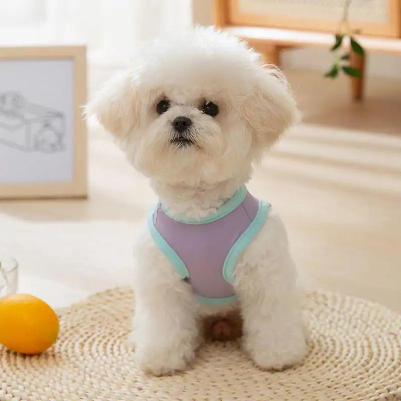 Female Dog Clothes Breathable Soft Dog Shirt Comfort Cooling Vest For Dog Small Dog Shirt Chihuahua Clothes For Daily Wear