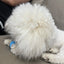 Cat Interactive Ball Smart Pet Cat Toys Indoor Automatic Rolling Magic Ball Electronic Interactive Cat Toy Cat Game Accessories