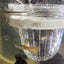 Acrylic Floating Fish Breeding Isolation Box Aquarium Breeder Feeder Fish Tank Hatching Incubator Aquarium Guppy Breed Hatchery