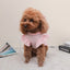Cute Bow Dog Vest 2024 Dog Clothes Puppy Pullover Summer Pet Clothes Breathable Two-Legged Clothes Solid Color Cat Pet Products