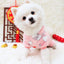 pawstrip Small Dog Clothes Warm Winter Pet Dog Jumpsuit Puppy Fleece Hoodie Chihuahua Small Medium Dog Warm Outfit Kitten Jacket