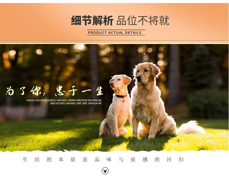 Large new solid wood kennel outdoor waterproof dog house with mat and cold-proof pet dog cage carbonized golden retriever woo