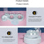 Pet SuppliesElevated Bowls for Cats and DogsDurable Double Cat and Dog Bowl FeedersElevated Cat Feeding and Drinking Supplies