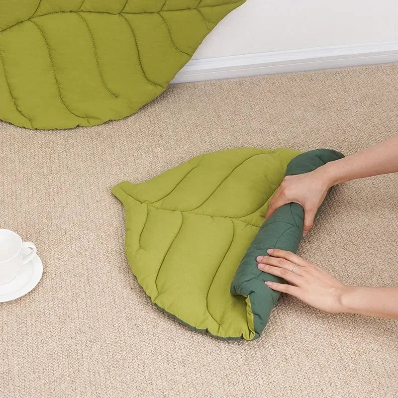 Kitten Bed Cats All Things Pet Accessory Houses House Products Beds Accessories Dog Mat Supplies Cushions Habitats Basket Puppy