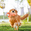 Dog Plush Chew Toy USB-Charged Pet ChewingToy Floppy Lobster Dog Toy Washable Cute Cat Toys For Puppy Dog Cats For Home Outdoor