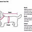 Dog Clothes Shirt Pet Cooling Vest Small Dogs Comfortable Costume Puppy Outfits Breathable Clothes Yorkshire Terrier Chihuahua