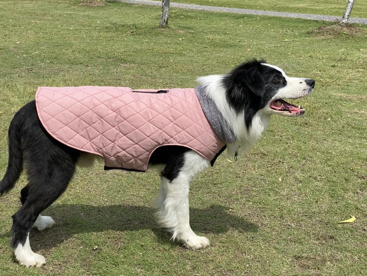 Warm Fleece Collar Dog Coat Jacket Double-Sided Winter Dog Coat Waterproof Puppy Clothing For Small Medium & Large Dogs Supplies