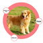 For Medium And Long Hair Pets Safe Hair Removal Comb Cats And Dogs Special Solution To Knotted Hair Fluffy Comb Skin Friendly