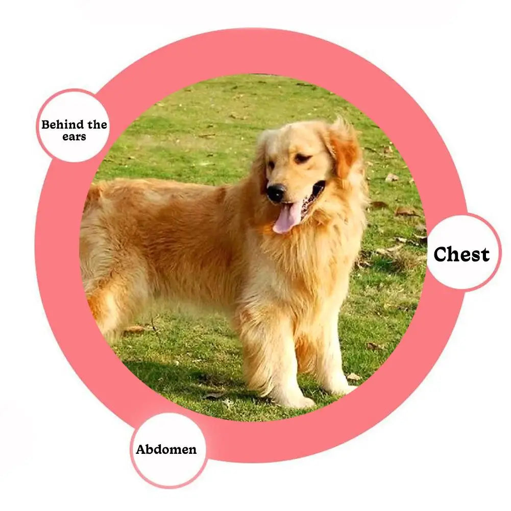 For Medium And Long Hair Pets Safe Hair Removal Comb Cats And Dogs Special Solution To Knotted Hair Fluffy Comb Skin Friendly