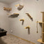 Wall Mounted Cat Climbing Wooden Shelves Cat Hanging Bed or Hammock with Sisal Ladder and Scratching Post for Kitten Playing