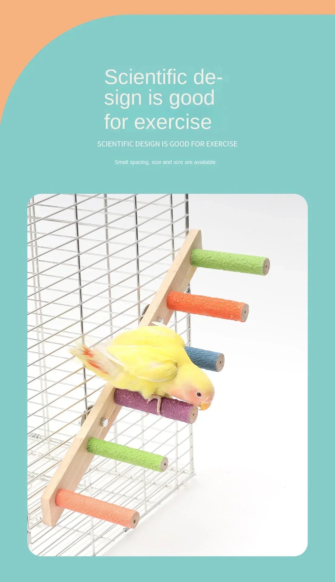 Escalera interactiva para escalada de aves, juguete para mascotas, garras y dientes, accesorios para pájaros, 4/6/8 escalones