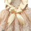 Floral Embroidered Lace Dog Dress for Small Dogs Luxury Design Dog Clothes Summer Bowknot Princess Dress Pet Apparel
