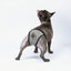 Female Dog Panties Adjustable Pet in Heat Menstrual Sanitary Physiological Pants Reusable Diapers for Small Medium Large Dogs