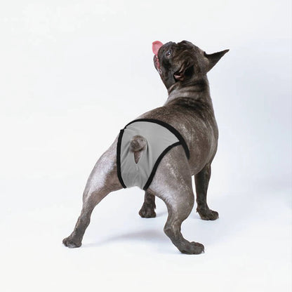 Female Dog Panties Adjustable Pet in Heat Menstrual Sanitary Physiological Pants Reusable Diapers for Small Medium Large Dogs