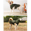 Dog Relief Calming Vest Dog Anti Anxiety Jacket Reflective Turtleneck Coat with Hood Small Medium Large Dogs Clothes