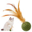 Catnip Ball Feather Cat Toy Ball Feather Cat Tooth Cleaning Cat Toy Catnip Ball Interactive Chew Catnip Pet Supplies