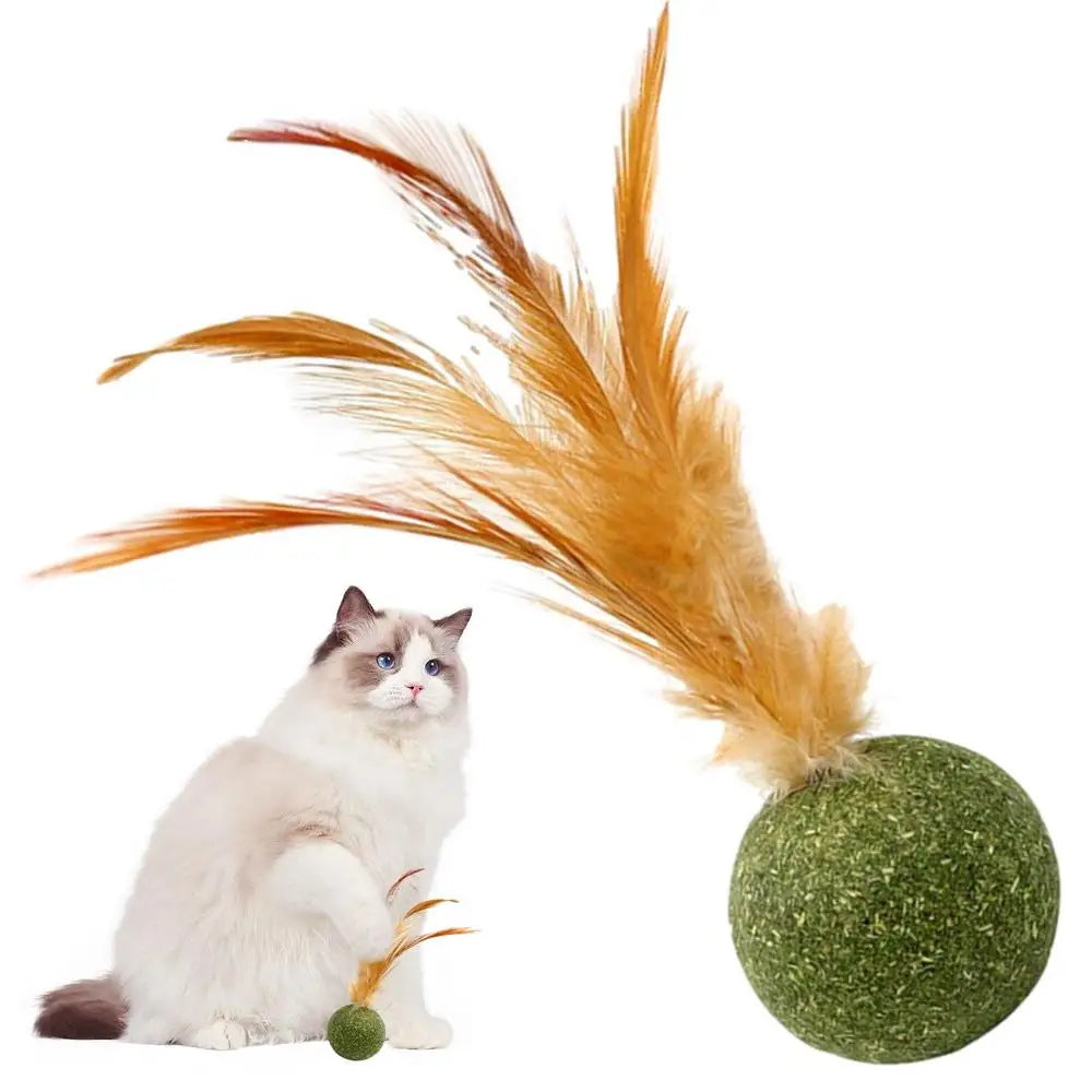 Catnip Ball Feather Cat Toy Ball Feather Cat Tooth Cleaning Cat Toy Catnip Ball Interactive Chew Catnip Pet Supplies