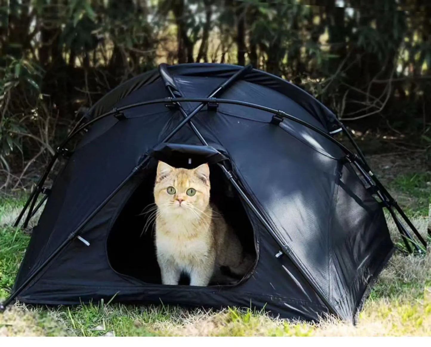 Foreign Trade Outdoor Camping Four Seasons Rainproof Outdoor Cat Nest Dog Nest Home Small and Medium Pet House Nest Ball Tent
