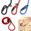 Nylon Dog Leash Pet Puppy Slip Lead Rope Dog Slip Leash Chain Collar Adjustable No-Pull Dog Training Leash for Small Dogs Yorkie