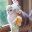 Luxury Design Pet Hat for Small Dogs Knitting Animal Shaped Cosplay Puppy Head Wear Caps New Year Warm Lace Up Cat Accessories