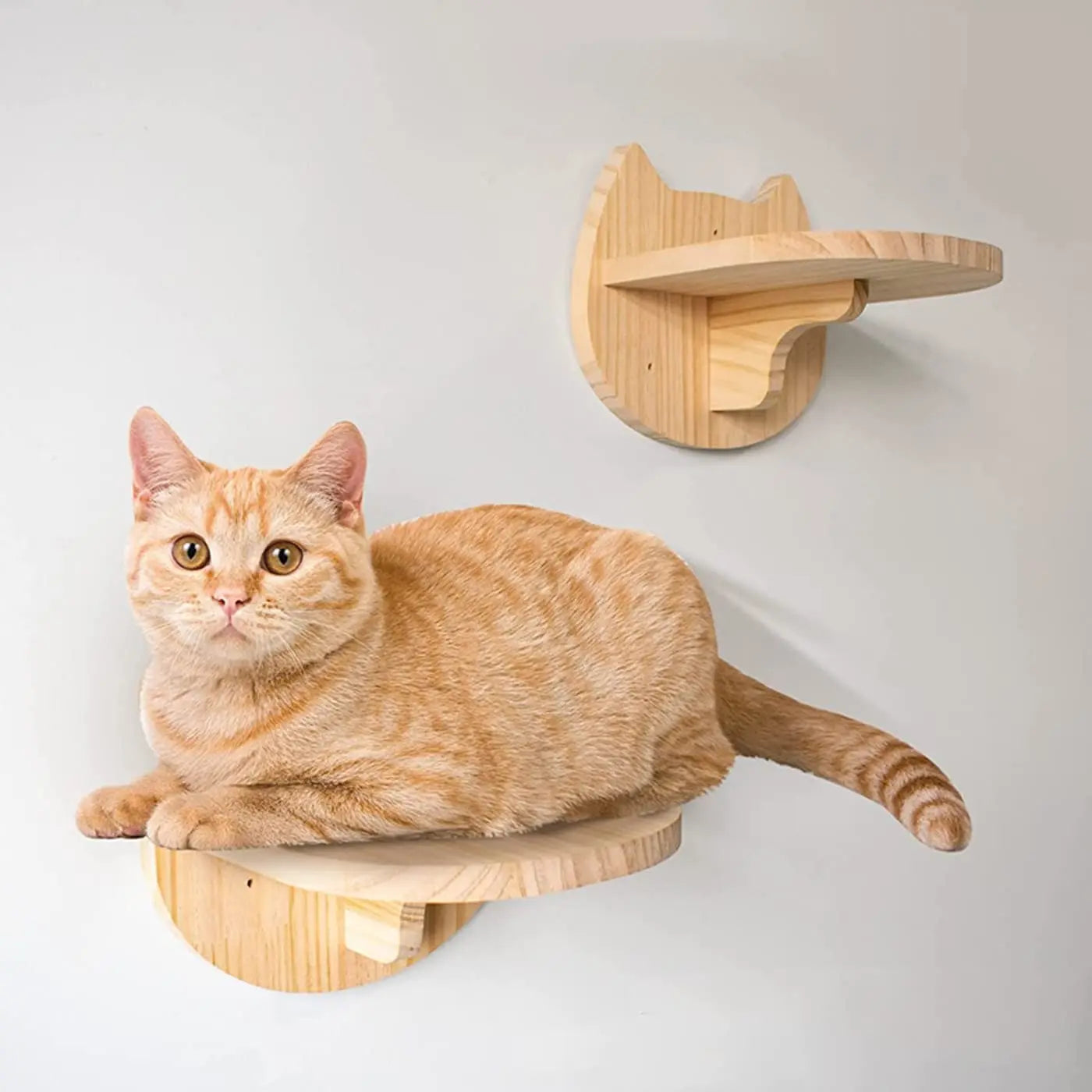 Cat Climbing Shelves Wall Mounted Cat Hammock and Steps Walking Jumping Platform for Wooden Furniture Kitty Playing and Sleeping