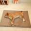 Pets Dogs Accessories Dog Bad Medium Bed Pet Products Big Mat Sofa Cushion Supplies Cushions Puppy Small Baskets Large Beds Cats