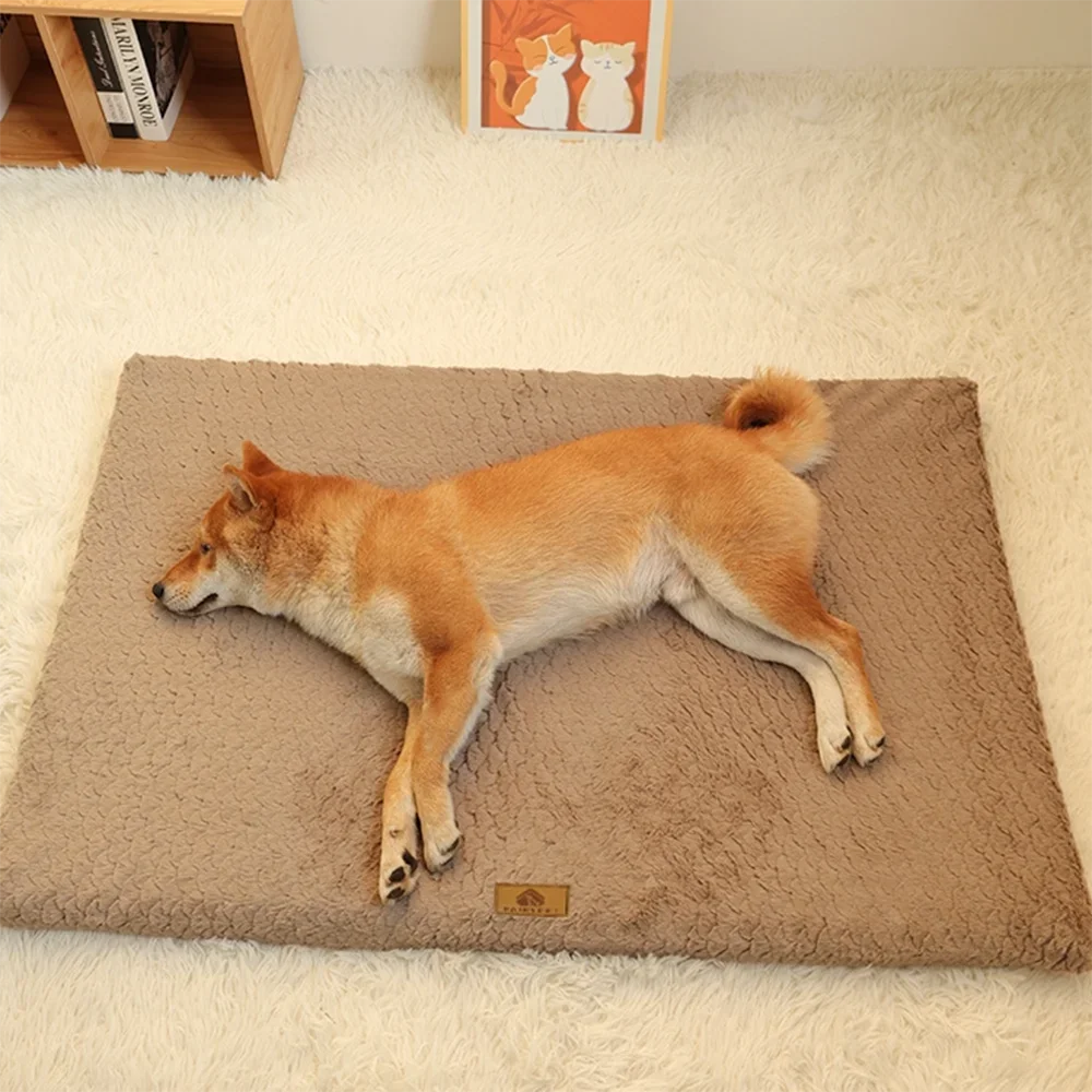 Pets Dogs Accessories Dog Bad Medium Bed Pet Products Big Mat Sofa Cushion Supplies Cushions Puppy Small Baskets Large Beds Cats