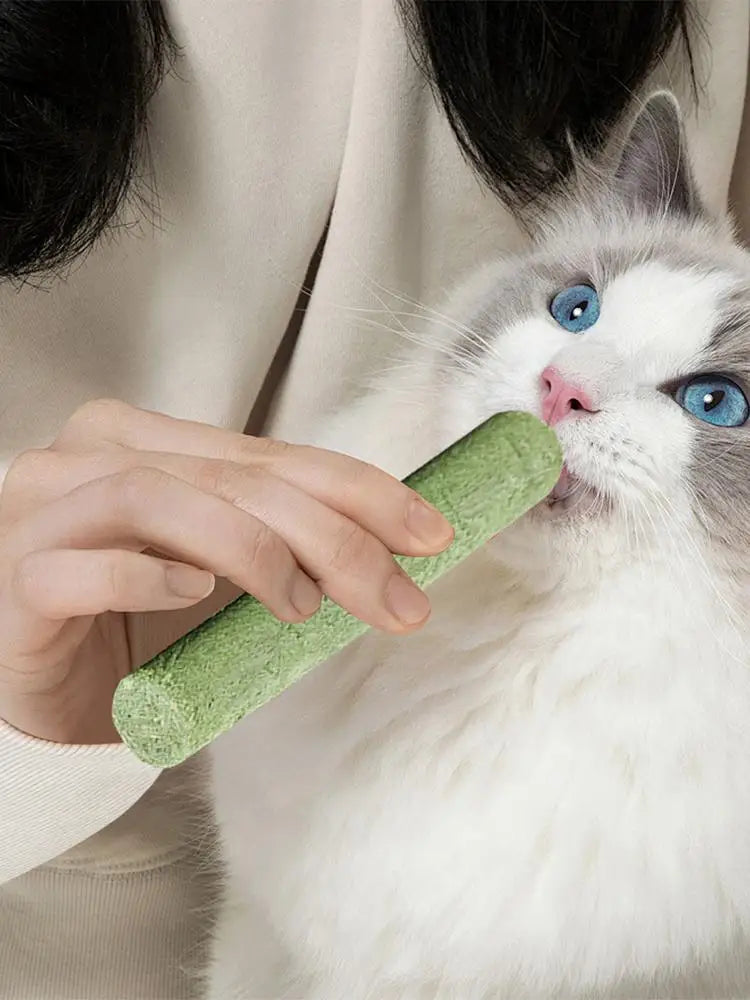 Cat Grass Teething Stick Cat Grass Sticks Pet Snacks Natural Grass Molar Rod Cat Chew Stick Teeth Cleaner Teeth Caring