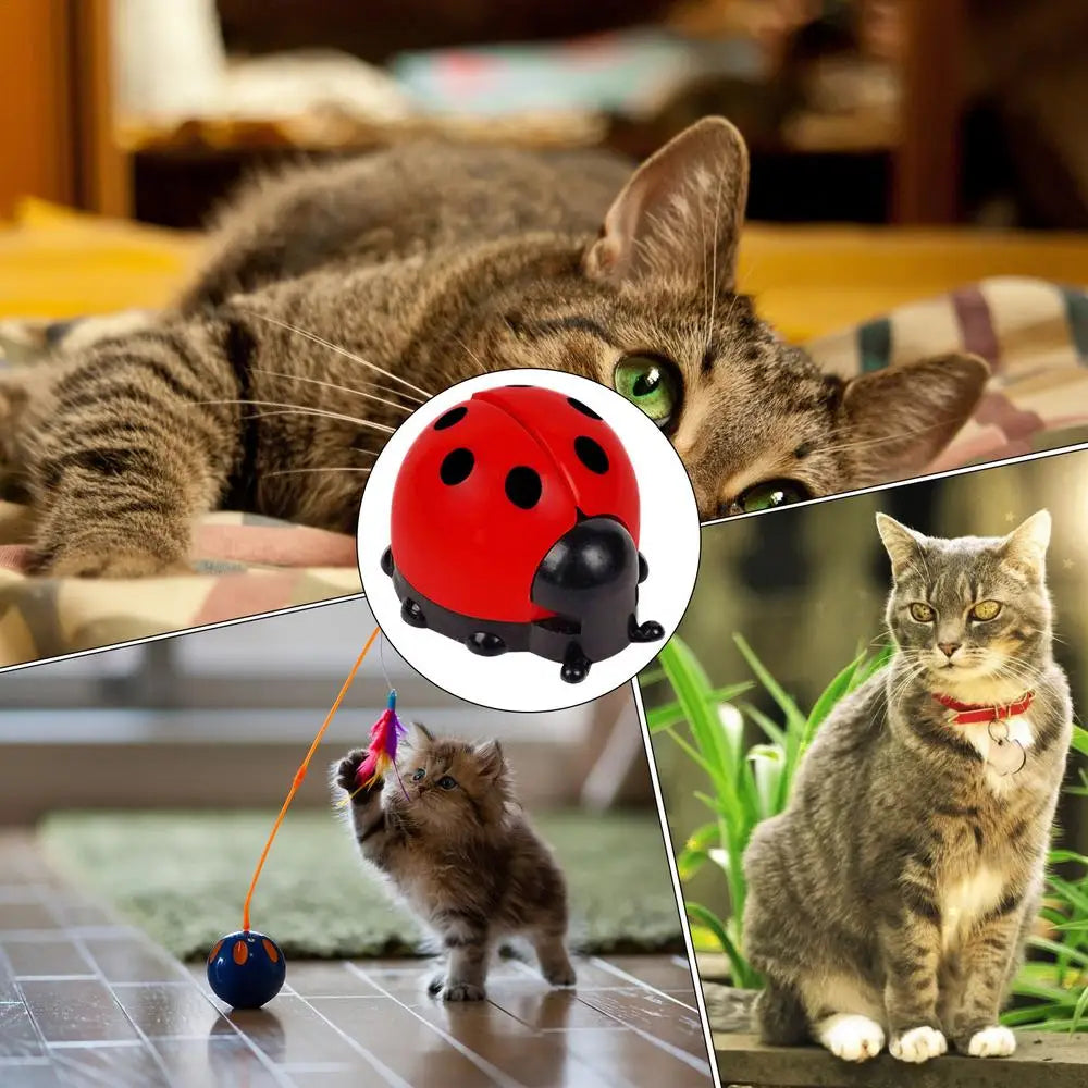 Cat Catnip Ball Toy Wall Mounted Ladybug Shape Kitten Chew Toy Edible Toy Ball With Catnip Cat Teething Toys For Indoor Outdoor