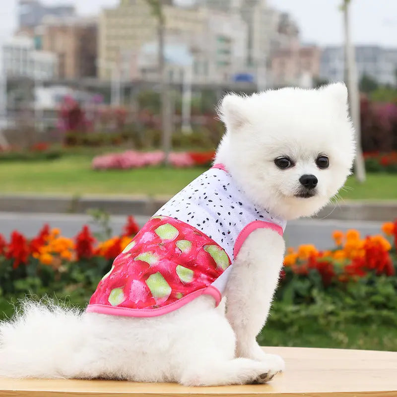 Breathable Pet Dog Clothes Summer Dog Vest For Small Dog Cute Camouflage Vest Spring and Summer Tshirt Bulldog Apparel Chihuahua