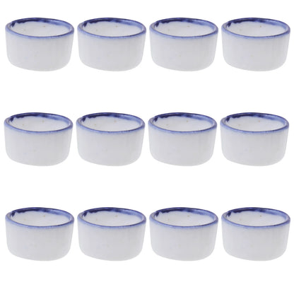 12 Pcs Basin Small Terrarium Jumping Spider Enclosure Tarantula The Fence Millipede Ceramics Mini Water Sink Reptile Baby