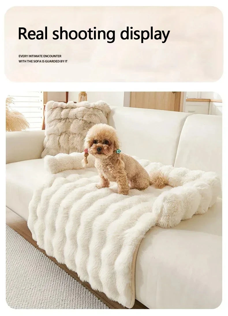 Pet Accessories Dog Bed Small Dog Baskets Puppy Breeds Dogs Medium Bedding Pets Products Large Bad Mat Cushions Beds Big Cushion