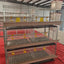 H Type Broiler Cage 4 Tiers Large Capacity 80 Pieces Length 1.4 Metres Width 70 Cm Strong and Durable for Sadio
