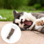 5Pcs Natural Cat Catnip Teeth Molar Stick Pet Cat Snacks Cleaning Teeth Tools Cat Treat Toys Increase Appetite