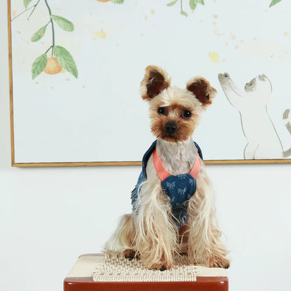 New Dog Harness and Leash Set for Small Dogs, Dark Wash Denim Puppy Dog Vest Harness Tassels Pet Jeans Butterfly Harness