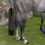 Tail Bags For Horses Waterproof Horsetail Protection Bags Anti-dirty Braided Tail Cover Protector Horse Grooming Supplies For