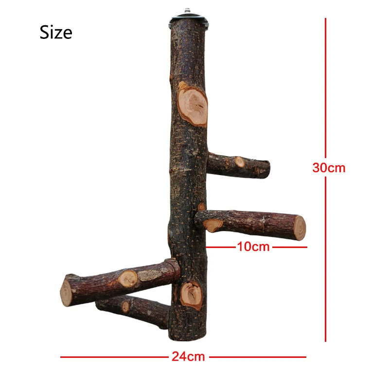 Natural Apple Tree Wood Bird Branch Stand Perches Pet Parakeet Budgie Hanging Play Toy Bird Cage Parrot Wooden Desk Holder