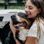 Dog Kennels Customized Size Raised Luxury Aluminum
