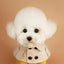 British Style Dog Winter Clothes Pet Clothes for Small Medium Dogs Teddy Chihuahua Puppy Pet Teddy Bib Windbreaker Cloak