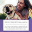 Pet Oral Repair Gel For Dogs Dog Oral Care 2X Care Cleaner Repair Gel Repair Gel Without Brushing For Eliminate Bad Breath